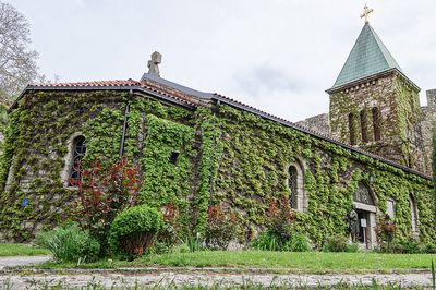 כנסיית רוז'יצה