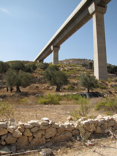 כביש חוצה ישראל