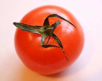 עגבניות
