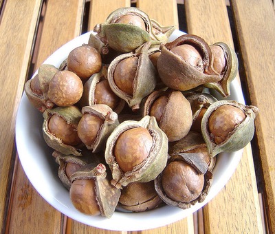 אגוזי פקאן